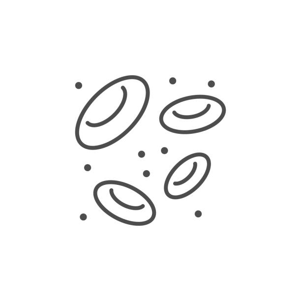 Laboratory & Analysis